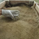 cacao fermentation aerobic Stage