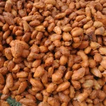 cacao fermentation aerobic Stage