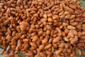 cacao fermentation aerobic Stage