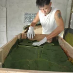 cacao fermentation anaerobic Stage