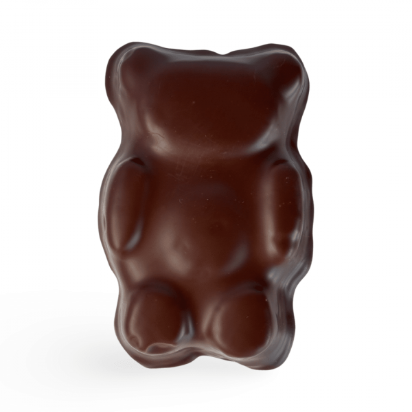 Chocolate Bear